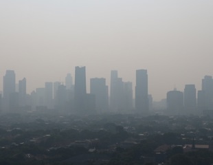 Exploring the link between air quality and mood: a new measure of climate sensitivity