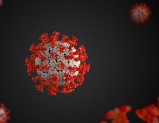 SARS-CoV-2 evolves differently in the brain, revealing critical insights into viral tropism