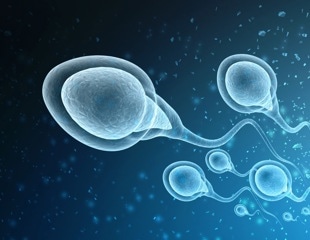 Study finds microplastics in semen and urine, linking PTFE exposure to lower sperm count