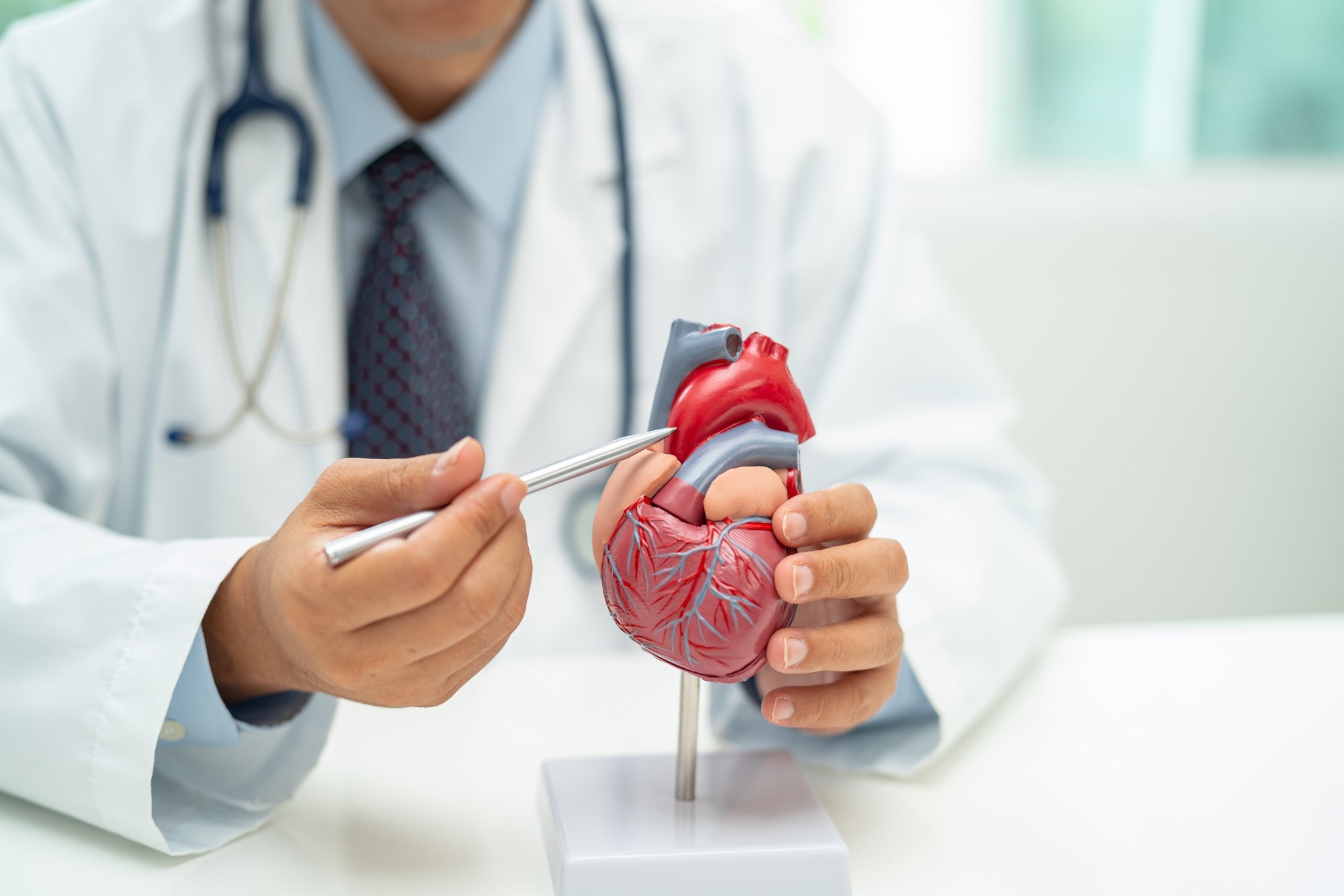Cardiovascular disease CVD, Asian doctor holding human anatomy model for learn and treat heart disease.