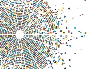 Researchers uncover 195 genetic risk factors driving women’s reproductive diseases