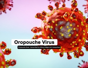 Oropouche virus: Emerging threats, symptoms, and prevention