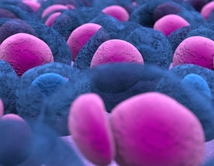 How the Vutara VXL simplifies single-molecule imaging