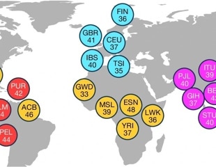 Scientists open new atlas of genetic diversity with advanced sequencing
