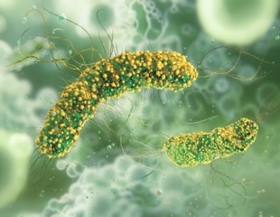 New strategies to tackle resistant foodborne pathogens
