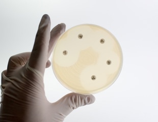 How do common painkillers drive stronger E. coli resistance?