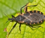 Scientists map kissing bugs beyond the Americas to assess Chagas threat