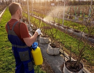 Organophosphate pesticide exposure linked to reduced sperm quality in healthy men