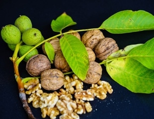 How walnuts combat inflammation and oxidative stress in the body