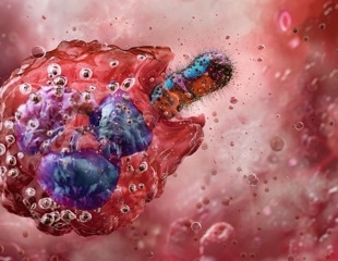 Circadian control of neutrophils limits heart damage after myocardial infarction