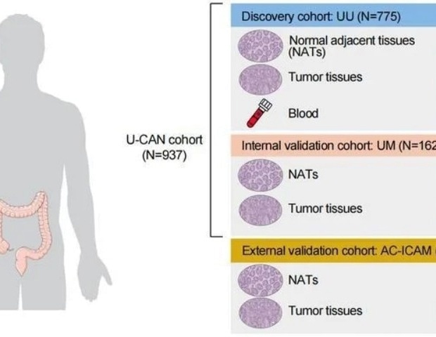 New research decodes the bacterial “zip code” of colorectal cancer for prediction and survival