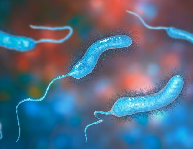 Dietary protein reshapes how cholera bacteria colonize the gut