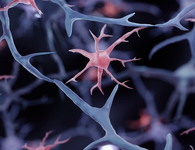 Ageing slows brain protein clearance and shifts synaptic waste to microglia