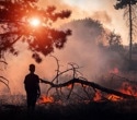 Wildfire smoke in late pregnancy may raise autism risk