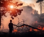 Wildfire smoke in late pregnancy may raise autism risk