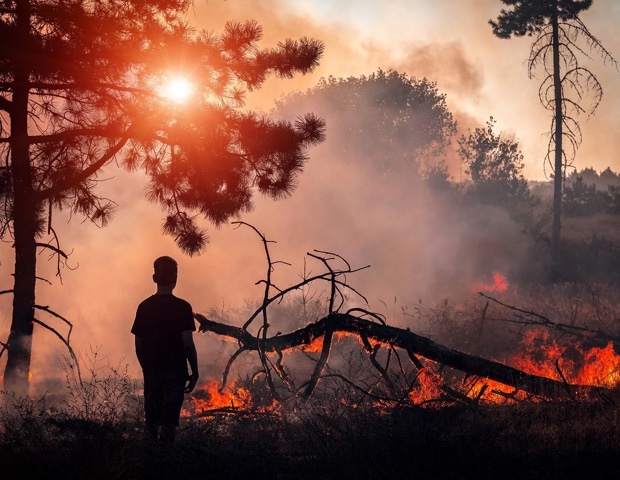 Wildfire smoke in late pregnancy may raise autism risk
