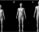 The long and short of it: Human penis size evolved for both attraction and rivalry, study suggests