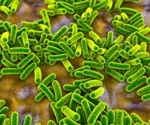 How modern lifestyles reprogram the gut microbiome and shape disease risk