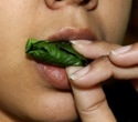 Review links betel nut addiction to cancer, heart disease, and metabolic risks