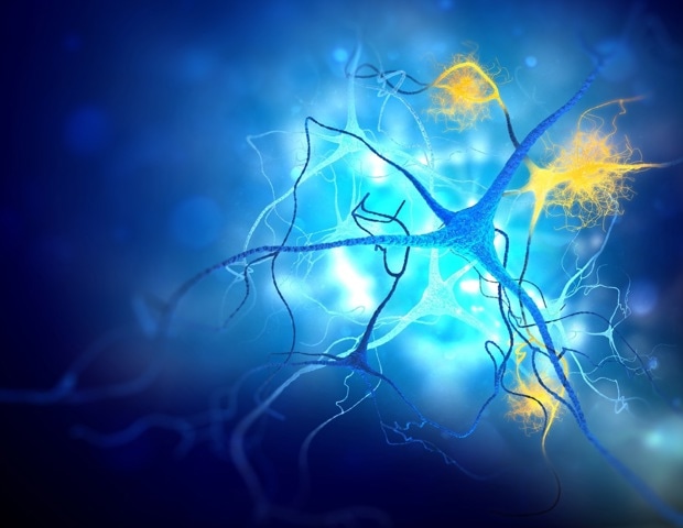 Alzheimer’s plaques decline after CAR-T immune cell treatment in preclinical study