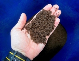 Can aquaculture reduce global malnutrition or is nutrient trade widening inequality?