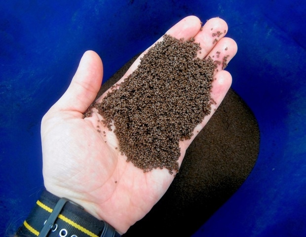 Can aquaculture reduce global malnutrition or is nutrient trade widening inequality?