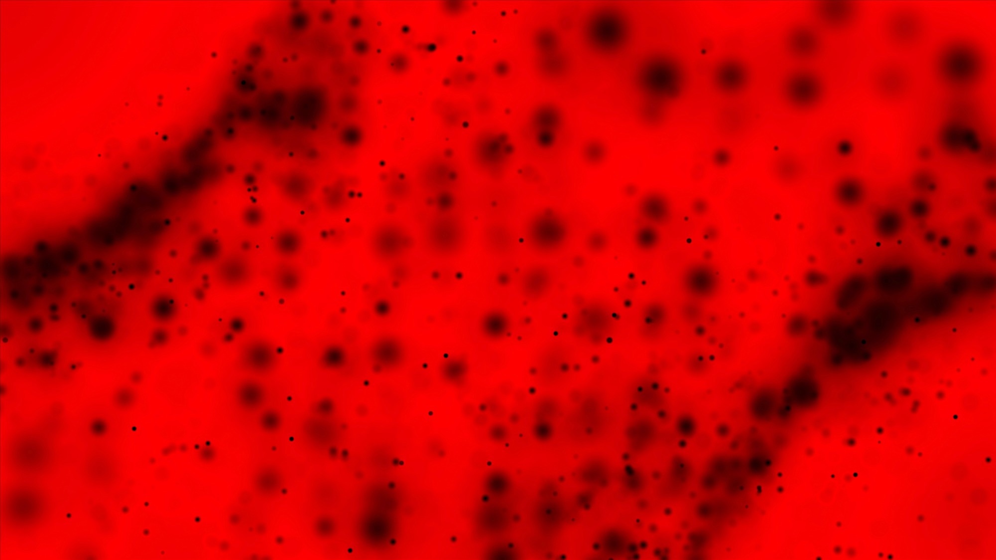 Review: Micro- and Nanoplastics and Human Health: Role of Food Nutrients Targeting Nfe2l2 Gene in Diabetes. Image Credit: HaHanna / Shutterstock