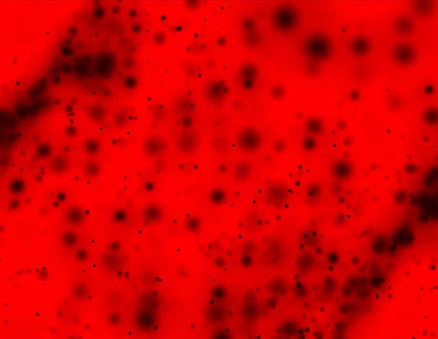 Role of food nutrients in reducing oxidative stress linked to micro- and nanoplastics