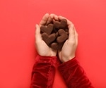 Do cocoa flavanols influence heart and fatty liver risk factors?