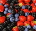 New review explores whether berries can slow cognitive decline linked to obesity