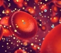 Researchers show red blood cells drive better glucose tolerance at high altitude