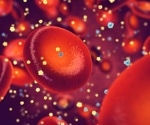 Researchers show red blood cells drive better glucose tolerance at high altitude