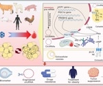 New review explains how circular RNAs could unlock fat browning therapies