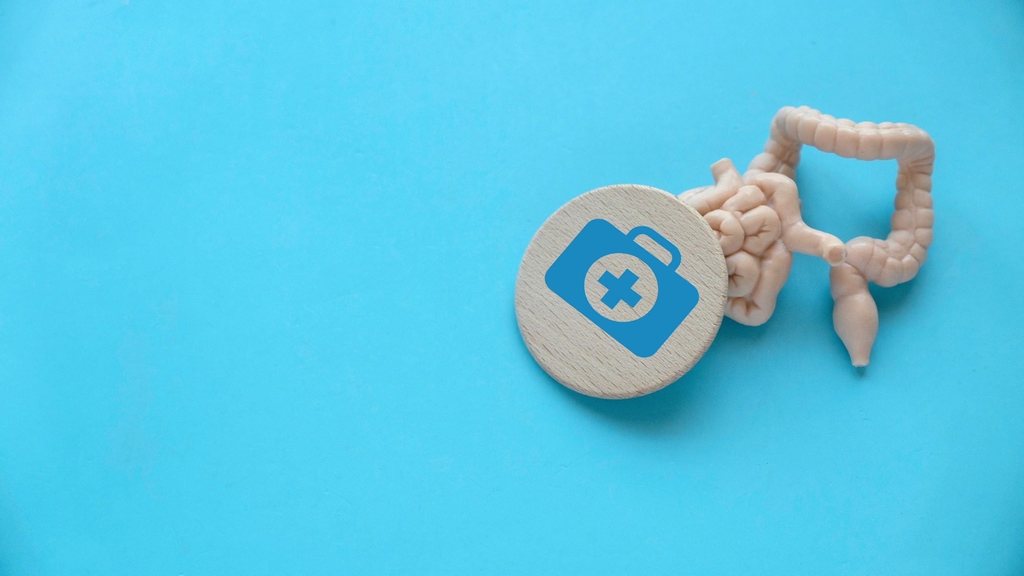 Study: Effect of curcumin on the gut microbiota of patients with ulcerative colitis, Crohn’s disease and healthy participants. Image Credit: Faizal Ramli / Shutterstock