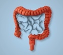 Experts identify safest and most effective diets for IBS management