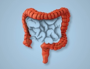 Experts identify safest and most effective diets for IBS management