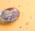 Study finds widespread microplastics in children and suggests diet may shape exposure