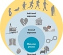 How social and environmental exposures across life influence mental health risk