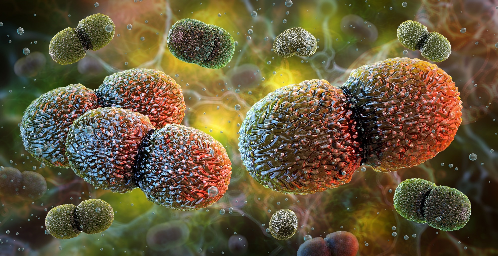 Study: Translocation of bacteria from the gut to the brain in mice. Image Credit: Corona Borealis Studio / Shutterstock