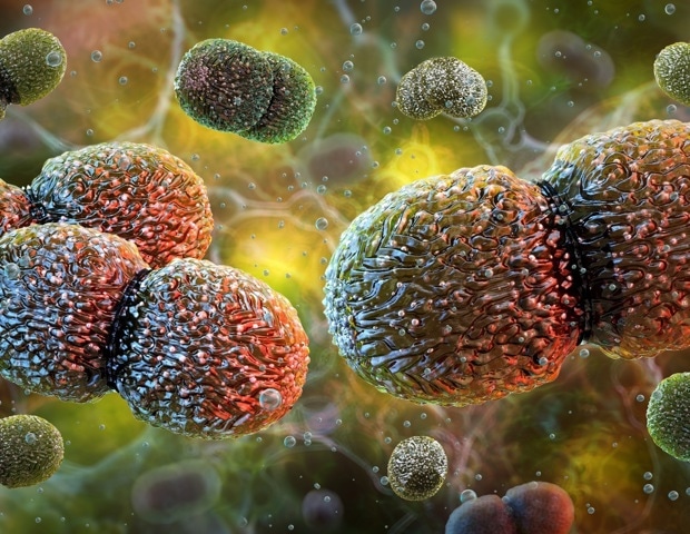 Scientists show gut bacteria can reach the brain in mice and reveal a potential vagus nerve pathway