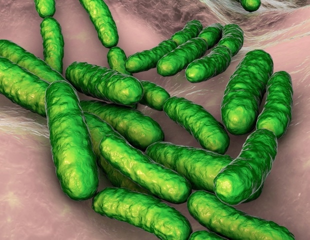 Vaginal microbiome may play key role in pregnancy health and preterm birth risk, researchers say