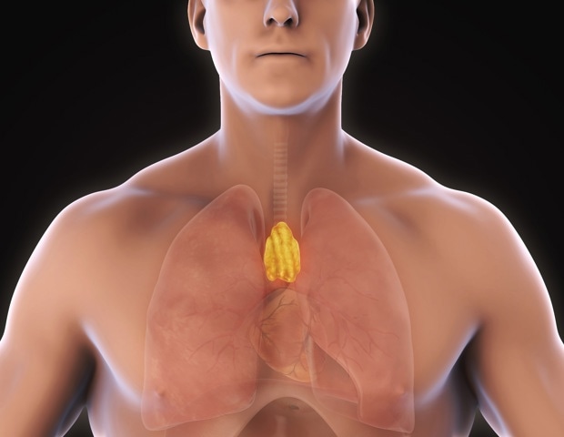 A healthier thymus predicts longer life and lower cancer and heart disease risk in adults