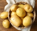 Firmer potatoes lower post-meal blood sugar spikes
