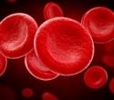 Scientists turn red blood cells into long-lasting drug and imaging carriers in mice
