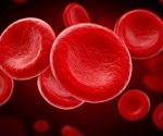 Scientists turn red blood cells into long-lasting drug and imaging carriers in mice