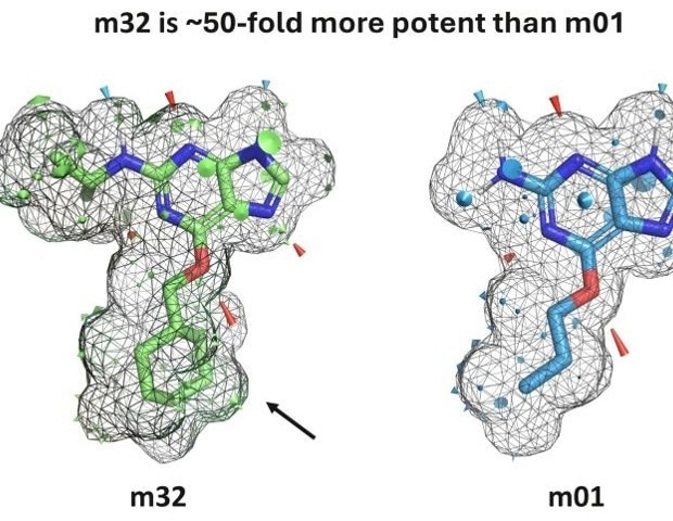 Optibrium introduces graphical interface for QuanSA to enhance ligand-based affinity predictions