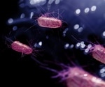 Study links higher enteric disease risk to E. coli in high-risk water supplies