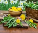 Dandelion leaves boost brain-protective compounds after digestion