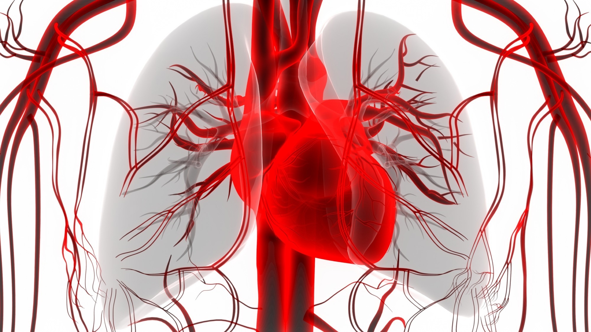 Study: Atrial fibrillation catheter ablation, brain glymphatic function, and cognitive performance. Image Credit: Magic mine / Shutterstock