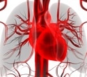 Study links atrial fibrillation to poorer brain clearance and cognitive decline